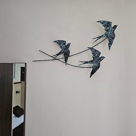 Cosy Studio 9 Св. Св. Константин и Елена Екстериор снимка